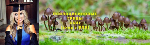 эйфоретик Зеленодольск