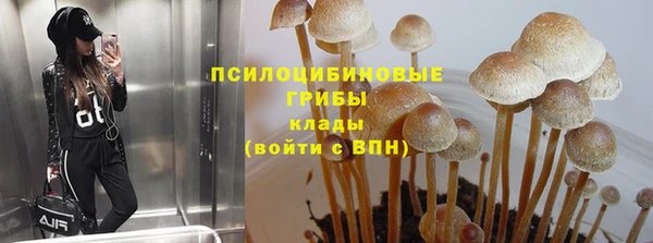 эйфоретик Зеленодольск