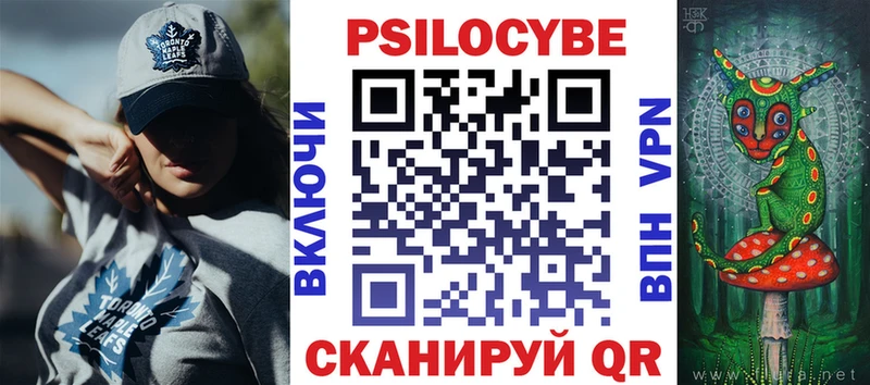 Купить где  Мещовск  Галлюциногенные грибы Psilocybe 